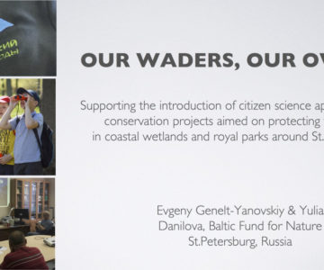 Проект “Совы белых ночей" был представлен на международной встрече ассоциации Европейских визит-центров, работающих над сохранением пролётных птиц – Migratory birds for people.