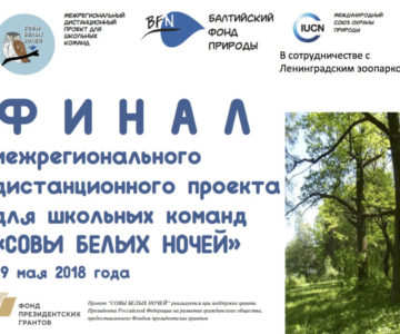 Итоги дистанционного образовательного проекта для школьных команд. Презентация "Финал межрегионального дистанционного проекта для школьных команд "Совы белых ночей".