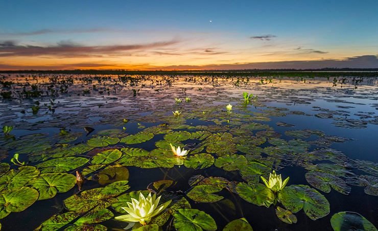 World Wetlands Day 2019