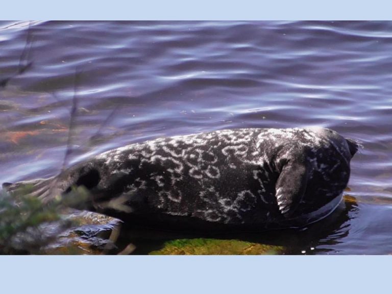 Экспедиция CoExist