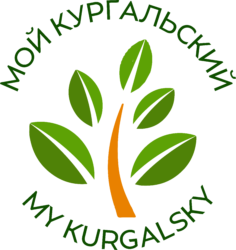 Информация о проекте «Мой Кургальский»