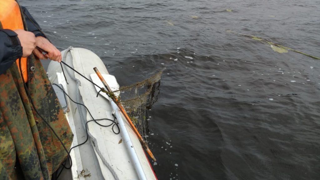 WhatsApp Image 2021-09-19 at 17.19.46