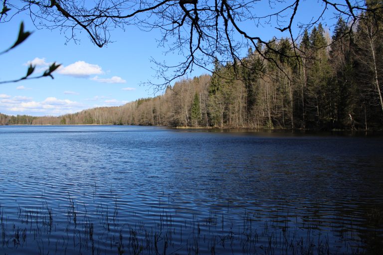 Рис. 10. Озеро Обловское