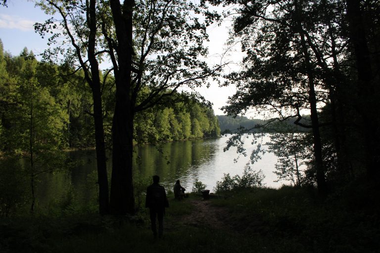 Рис. 11. Озеро Липовое