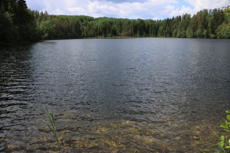 Рис. 12. Озеро Среднее