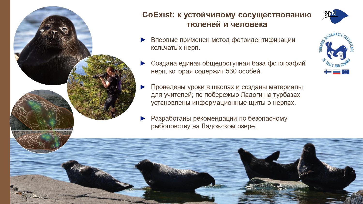 Презентация о БФП_final-10_page-0001