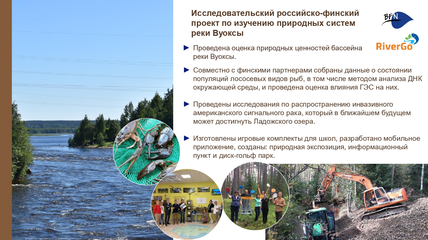 Презентация о БФП_final-11_page-0001