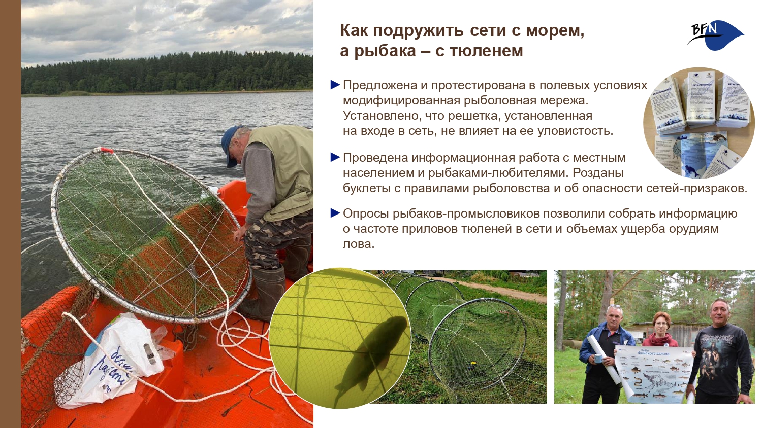 Презентация о БФП_final-12_page-0001