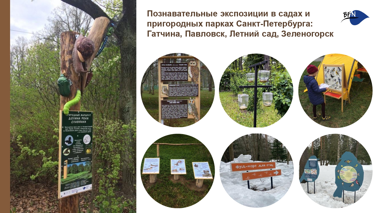 Презентация о БФП_final-14_page-0001