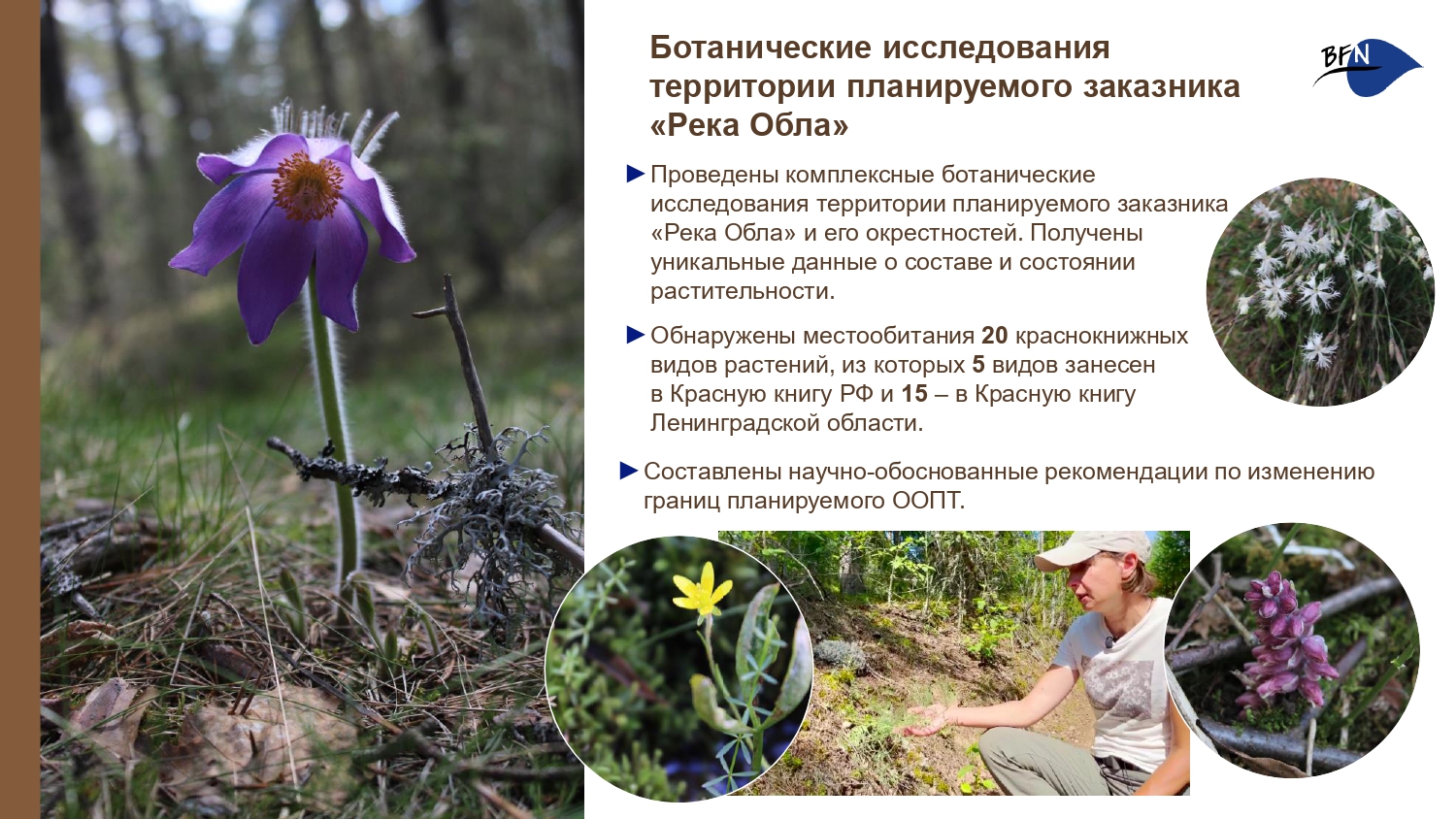 Презентация о БФП_final-15_page-0001