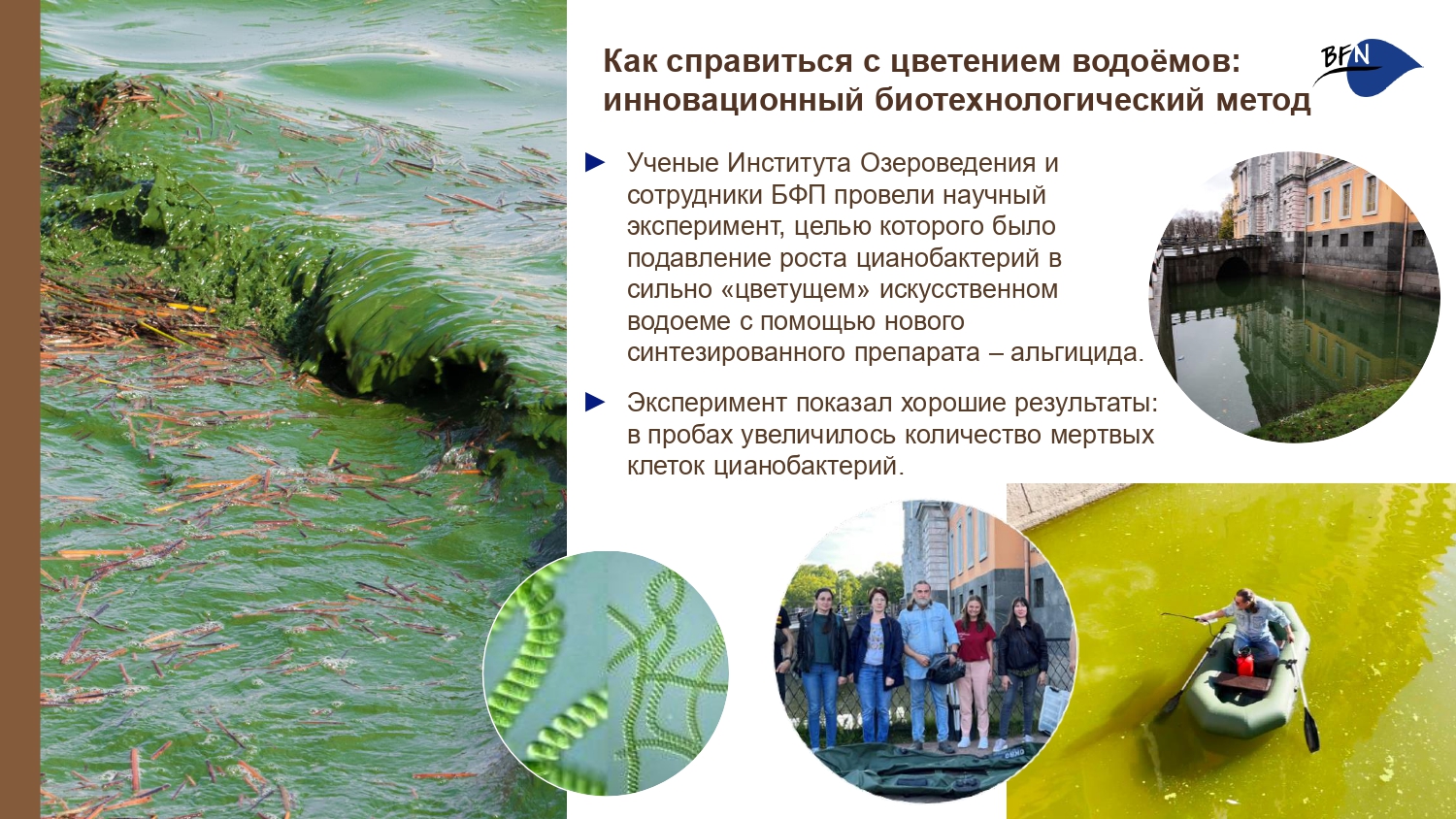 Презентация о БФП_final-18_page-0001