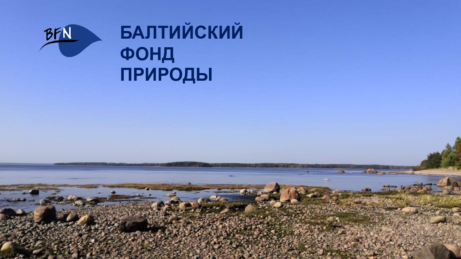 Презентация о БФП_final-1_page-0001