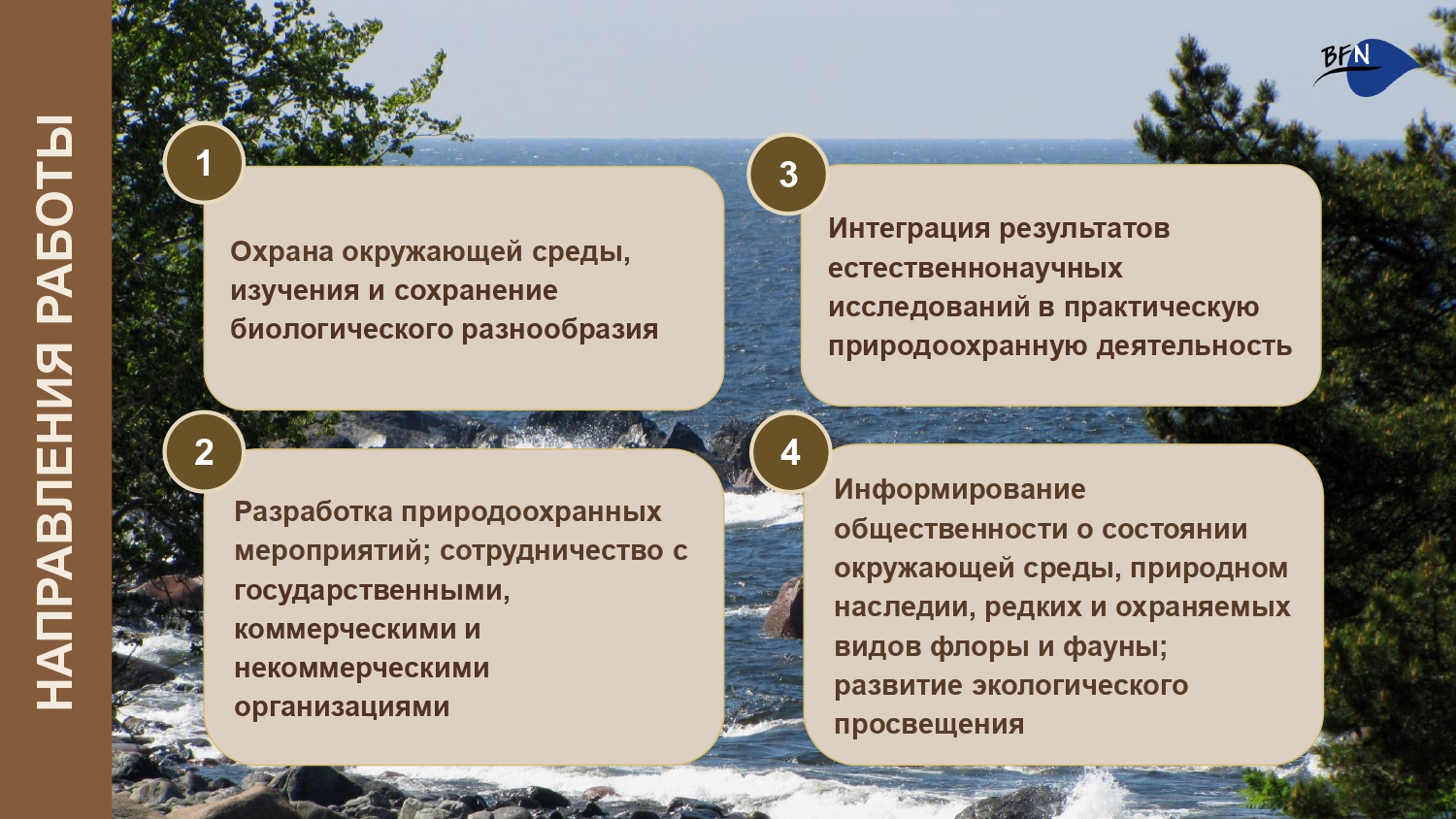 Презентация о БФП_final-3_page-0001