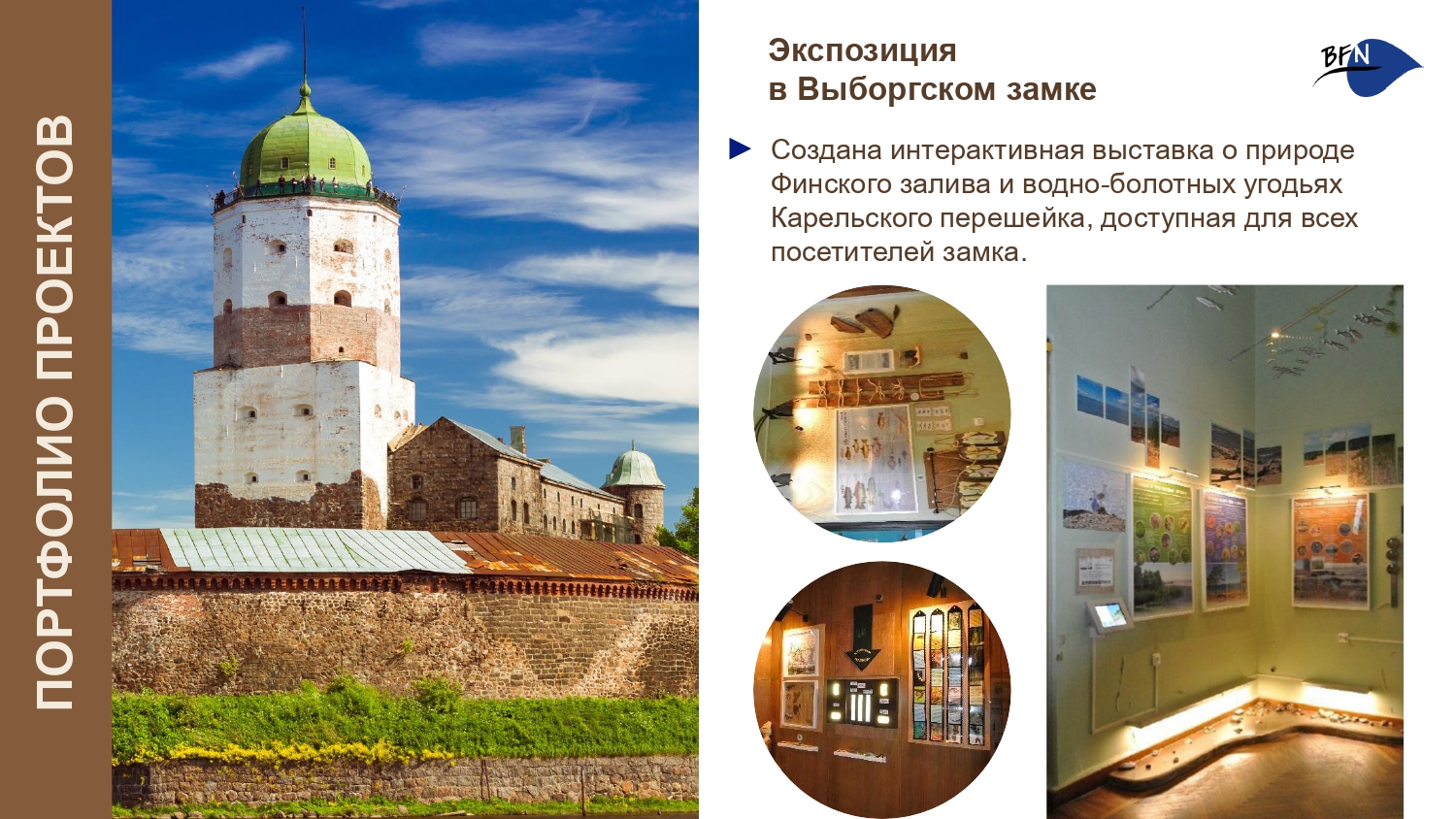 Презентация о БФП_final-5_page-0001