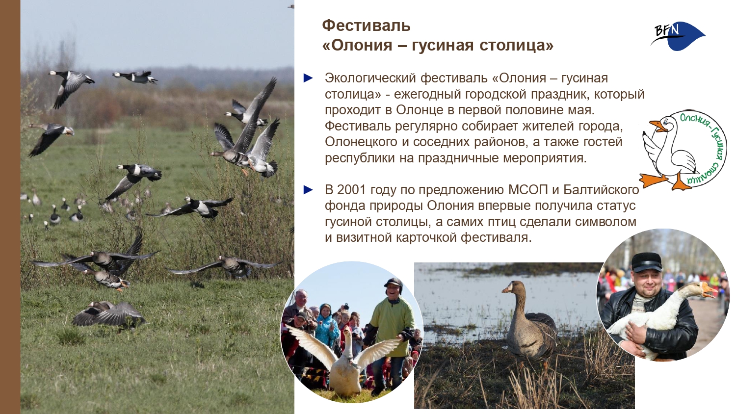 Презентация о БФП_final-6_page-0001