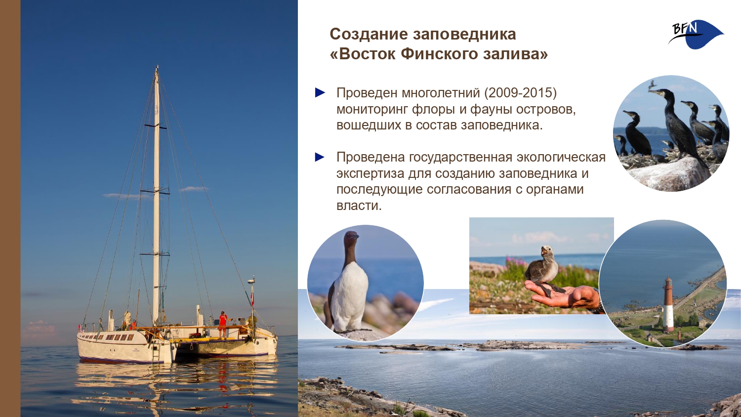 Презентация о БФП_final-8_page-0001